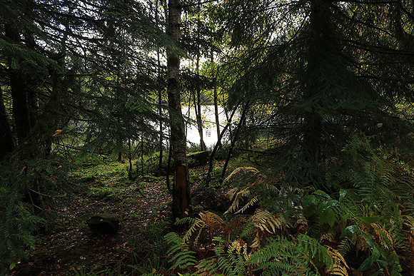 Lac de la Maix