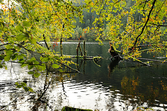 Lac de la Maix