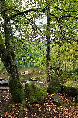 Lac de la Maix