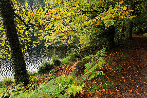 Lac de la Maix