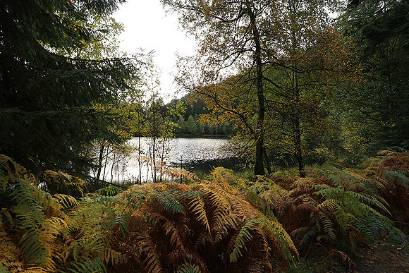 Lac de la Maix