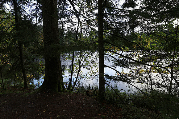 Lac de la Maix