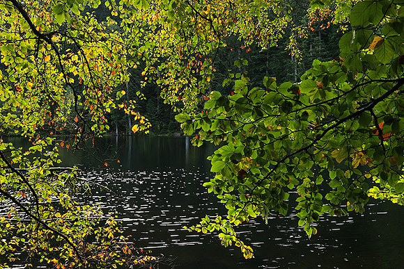Lac de la Maix