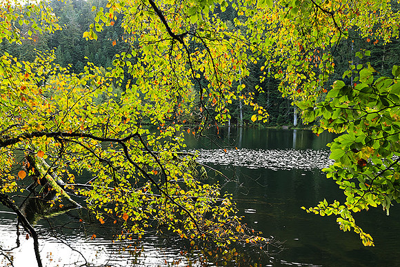 Lac de la Maix