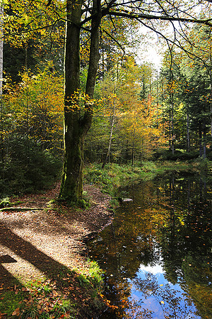 Etang Framboise