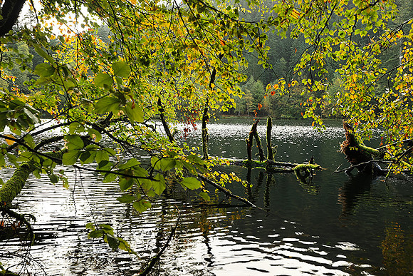 Lac de la Maix