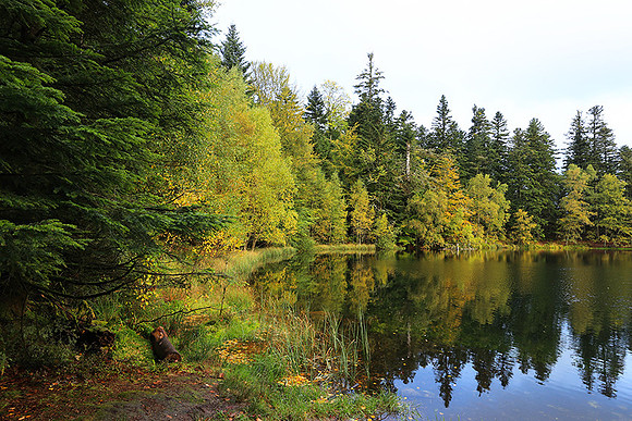 Lac de la Maix
