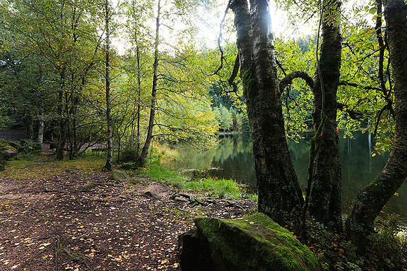 Lac de la Maix