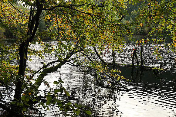 Lac de la Maix