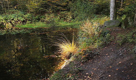 Etang Framboise