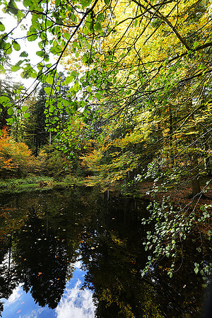 Etang Framboise