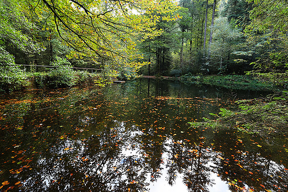 Etang Framboise