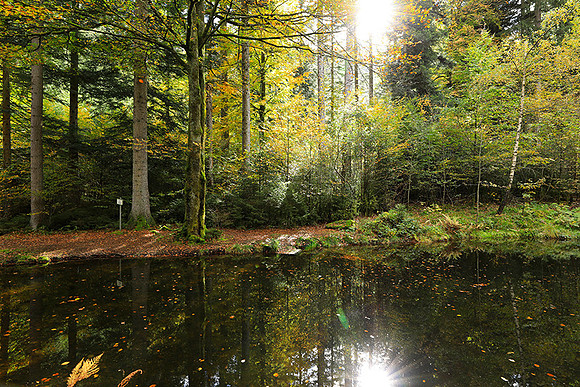 Etang Framboise