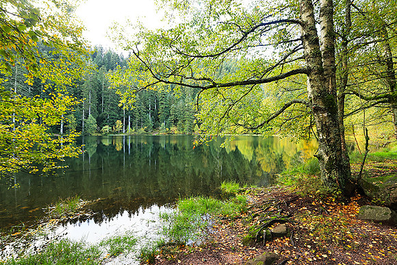 Lac de la Maix