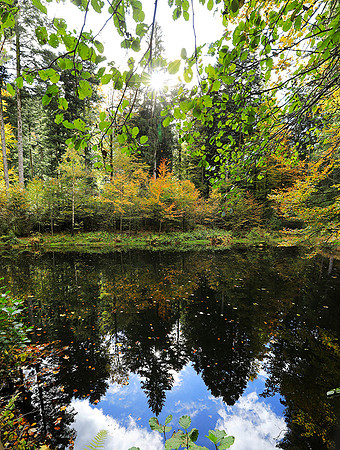 Etang Framboise