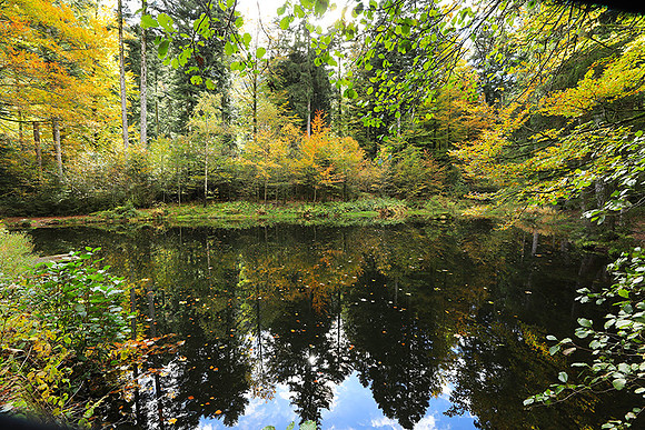 Etang Framboise