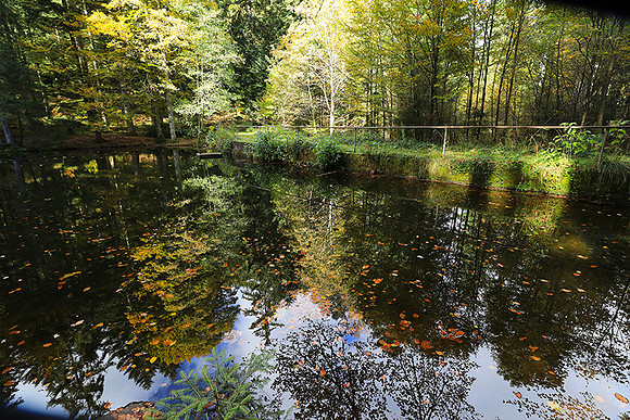 Etang Framboise