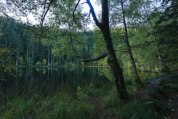 Lac de la Maix