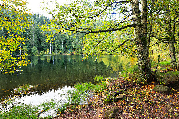 Lac de la Maix