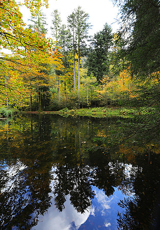 Etang Framboise
