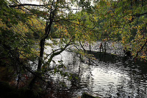 Lac de la Maix