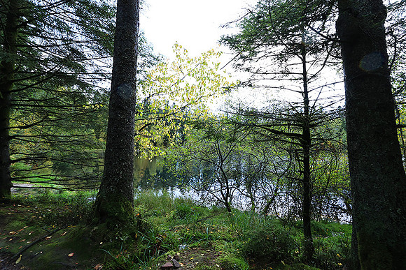 Lac de la Maix