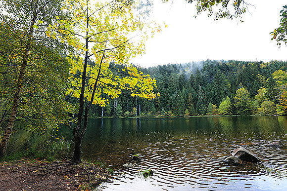Lac de la Maix