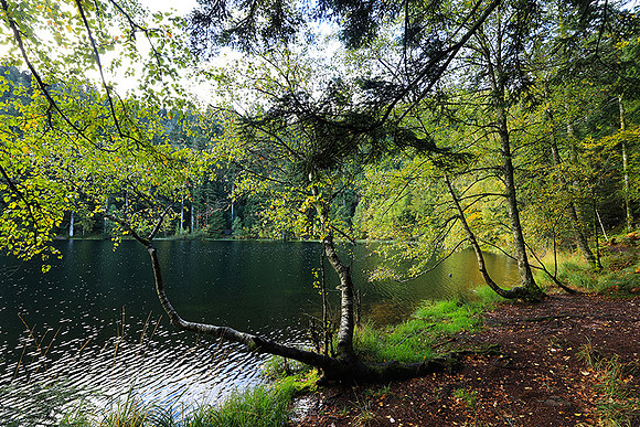 Lac de la Maix