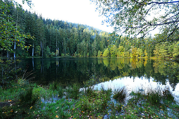 Lac de la Maix