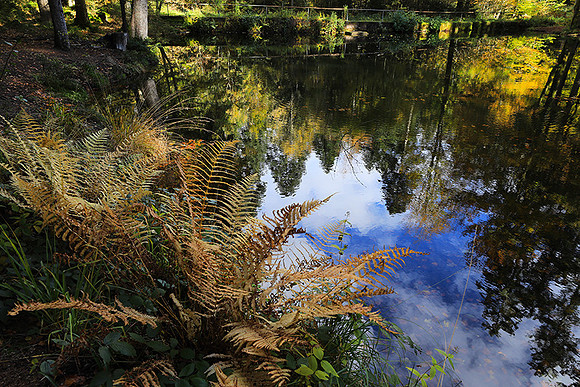 Etang Framboise