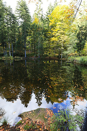 Etang Framboise
