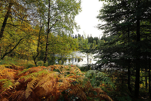 Lac de la Maix