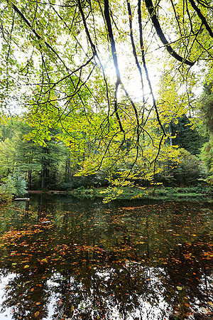 Etang Framboise
