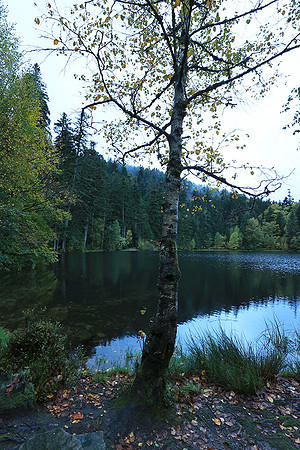 Lac de la Maix