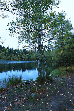Lac de la Maix
