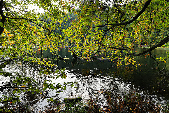 Lac de la Maix