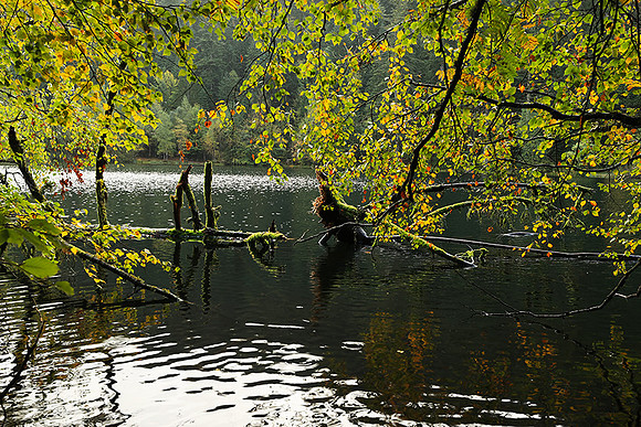 Lac de la Maix