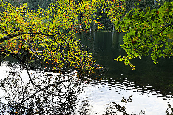 Lac de la Maix