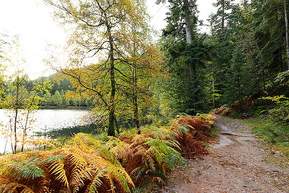 Lac de la Maix