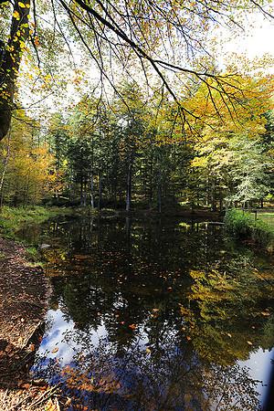 Etang Framboise