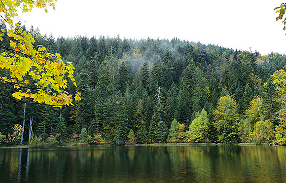 Lac de la Maix