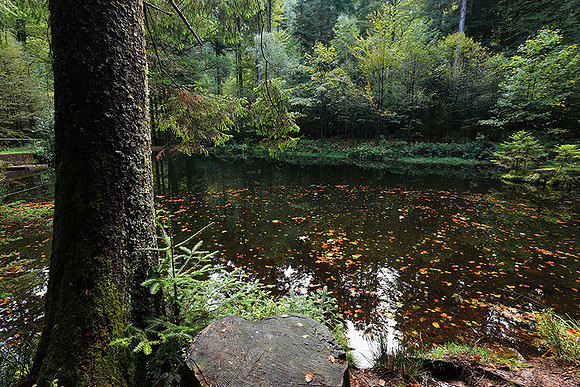 Etang Framboise
