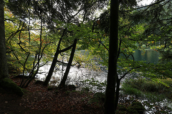 Lac de la Maix
