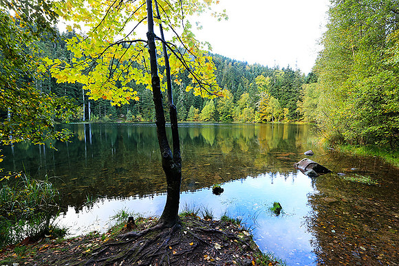 Lac de la Maix
