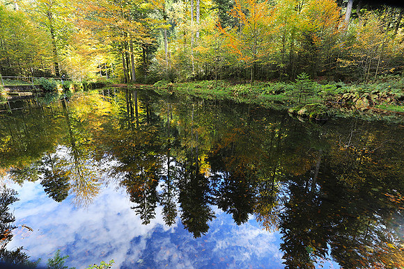 Etang Framboise