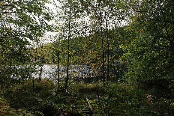 Lac de la Maix