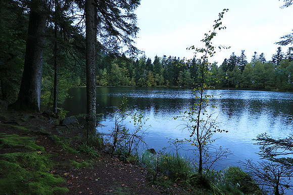 Lac de la Maix
