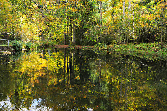 Etang Framboise