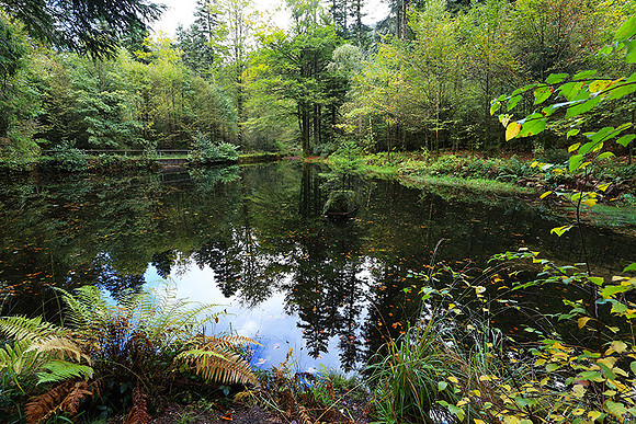 Etang Framboise