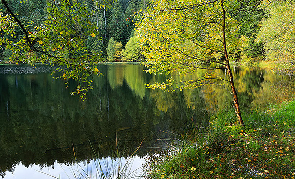 Lac de la Maix